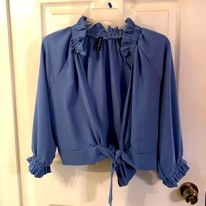 Gorgeous dress cropped blouse